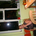 IMGP0411