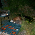 IMGP0737