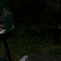 IMGP0738