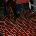 IMGP0740