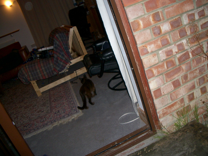 IMGP0742.jpg