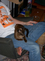 IMGP0807