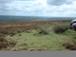 DSCF0036