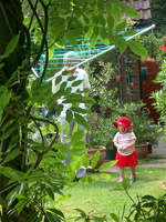IMGP0510