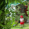 IMGP0510