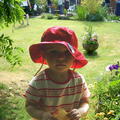 IMGP0518 modified