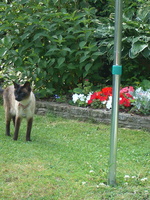 IMGP0563