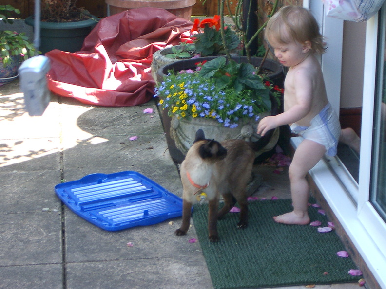imgp1265.jpg