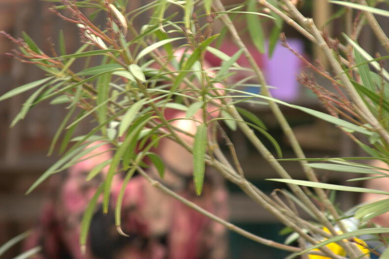 crw_4578.jpg