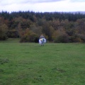 picture00022