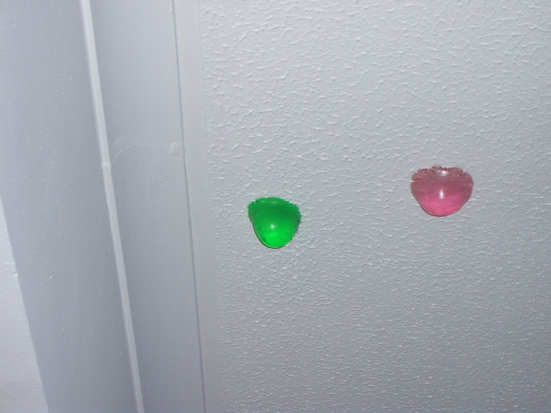 IMGP0875.jpg