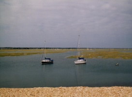 boats