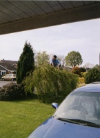 odd foliage