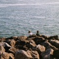 stuck between a rock and a wet place