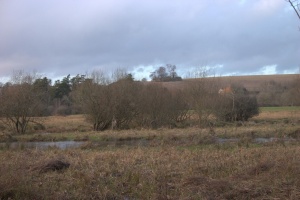 crw 4447