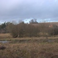 crw 4447
