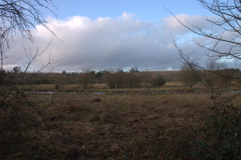 crw_4448.jpg