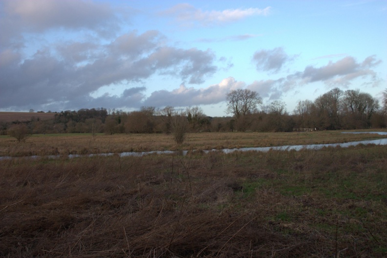 crw_4451.jpg