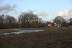 crw 4452