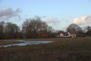 crw 4453