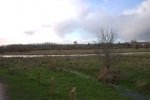 crw 4456