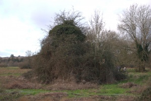 crw 4457