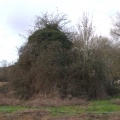 crw 4457