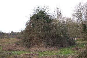 crw 4458