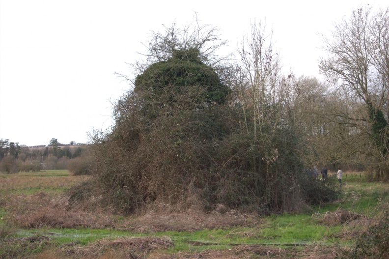 crw_4458.jpg