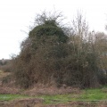 crw 4458