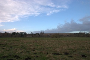 crw 4471
