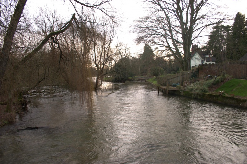 crw_4479.jpg