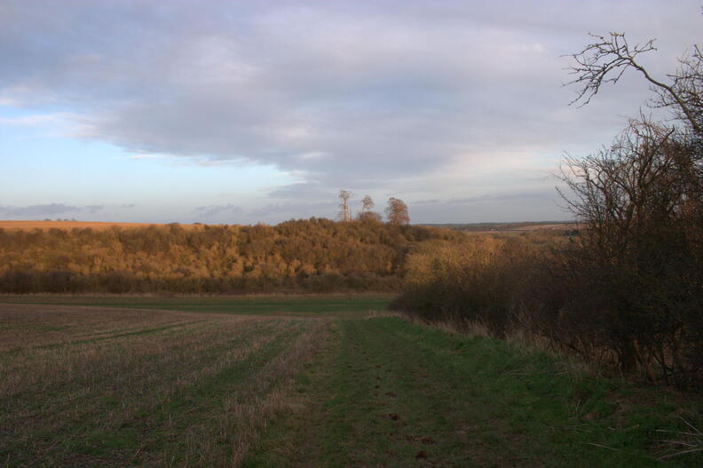 crw_4493.jpg