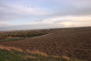 crw 4494