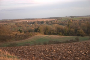 crw 4496