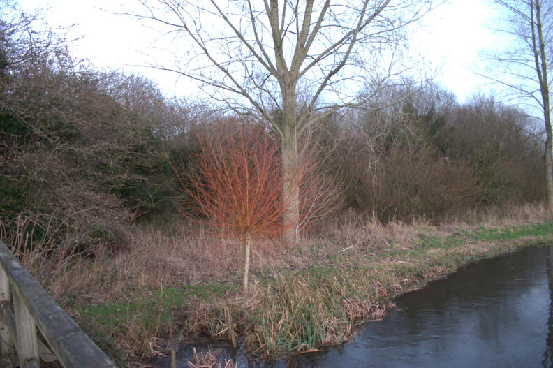 crw_4521.jpg