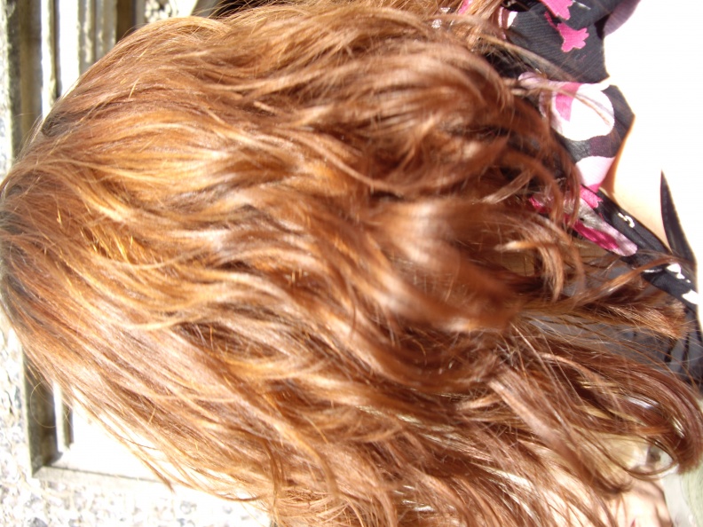 imgp0243.jpg