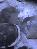 09 04 05 1534