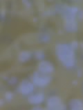 09 04 05 1645