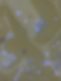 09 04 05 1646