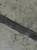 25 03 05 1158