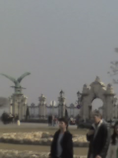 25_03_05_1213.jpg