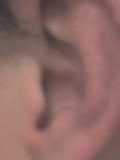 29 03 05 1803