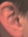 29 03 05 1805