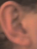 29 03 05 1823