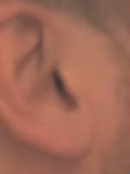 29 03 05 1824