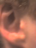 29 03 05 1825