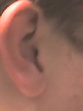 29 03 05 1826
