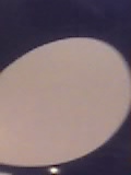 29 03 05 1827