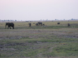 img-172